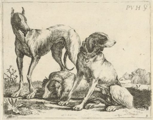 Three Dogs