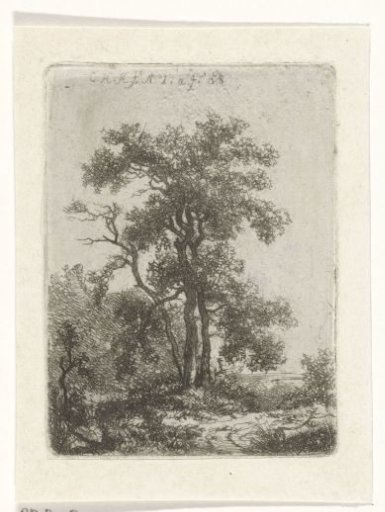 Landscape with a tree