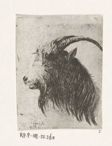 Bull