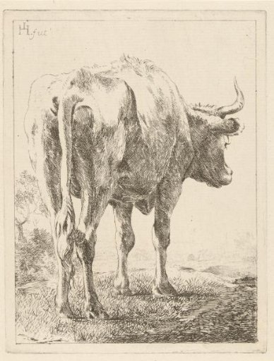 Cow in a Landscape