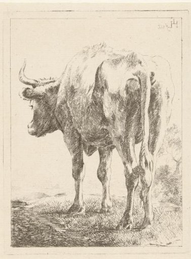 Cow in a Landscape