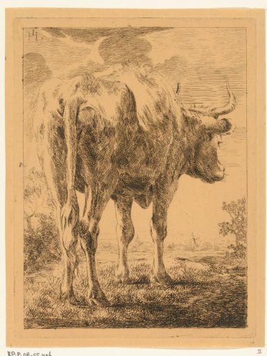Cow in a Landscape