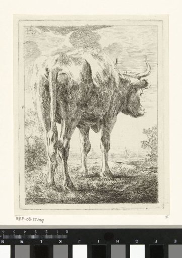 Cow in a Landscape