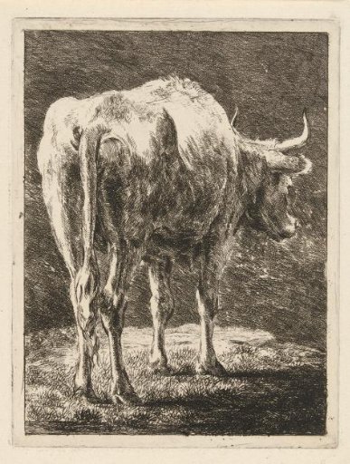 Cow in a Landscape