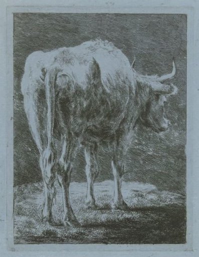 Cow in a Landscape