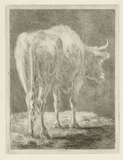 Cow in a Landscape