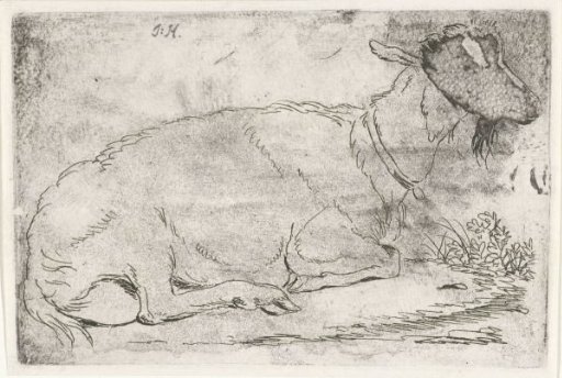 Reclining Goat