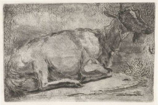 Reclining Goat