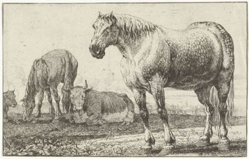 Horses and cows