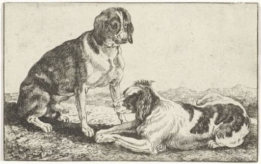 Two resting dogs