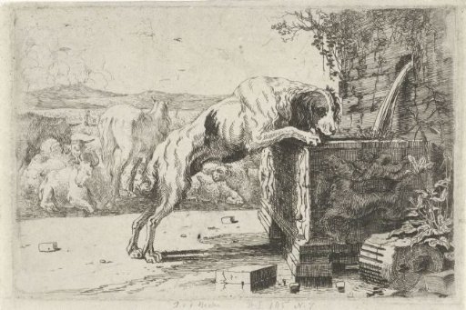 Dog at a fountain