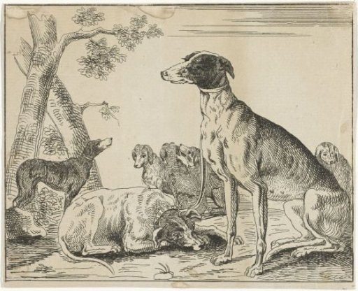 Dog kennel