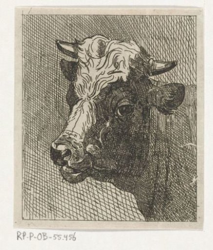 Cow's head to the left