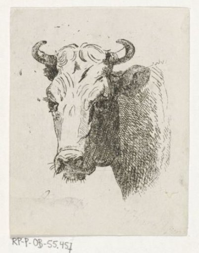 Cow's head