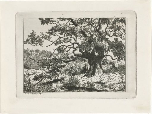Landscape at Wolfheze