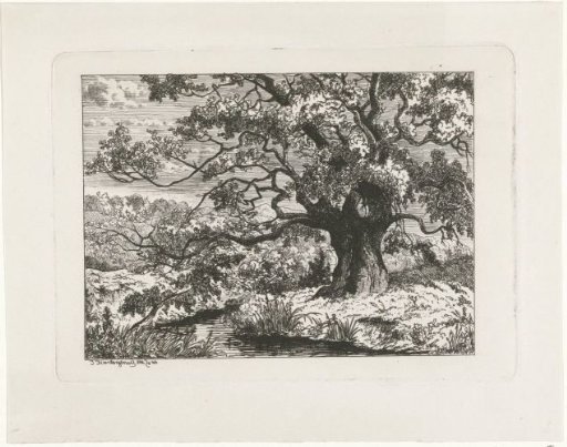 Landscape at Wolfheze