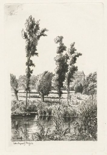 Trees by a ditch