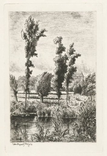 Trees by a ditch