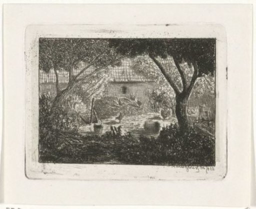 Farmyard with chickens