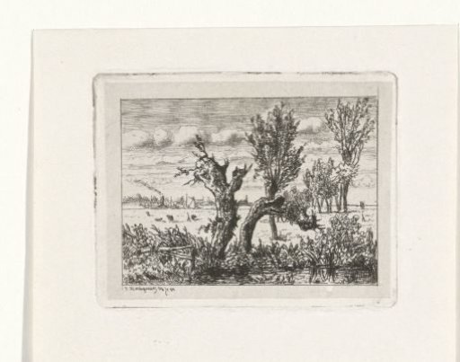 Landscape with pollarded willows