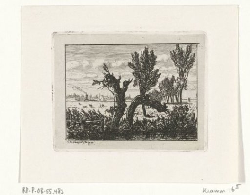 Landscape with pollarded willows