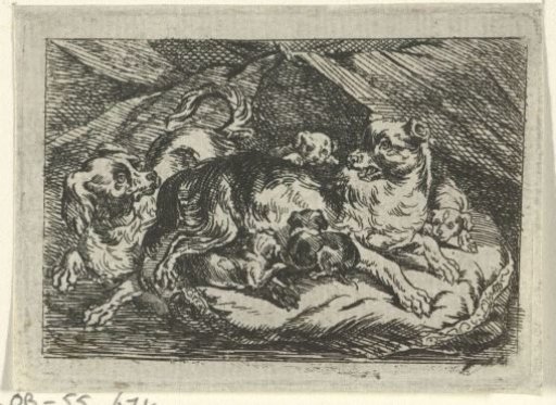 Nest with young puppies
