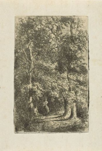 Woman on a Forest Path
