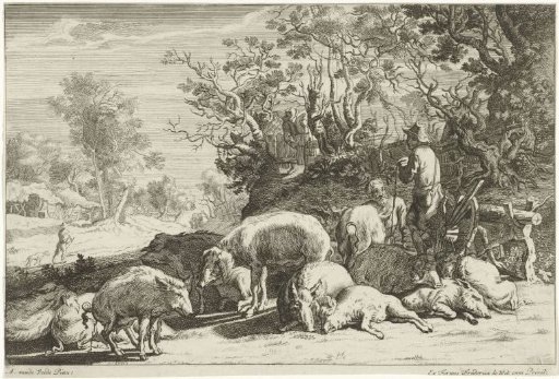 Swineherd with a herd of pigs