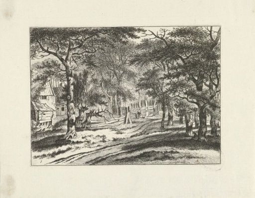 Forest landscape with houses