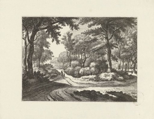 Forest landscape with two walkers