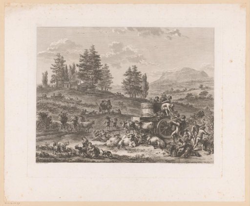 Grape harvest in a landscape