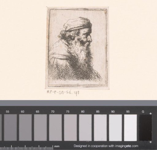 Old Man with Beard and Cap