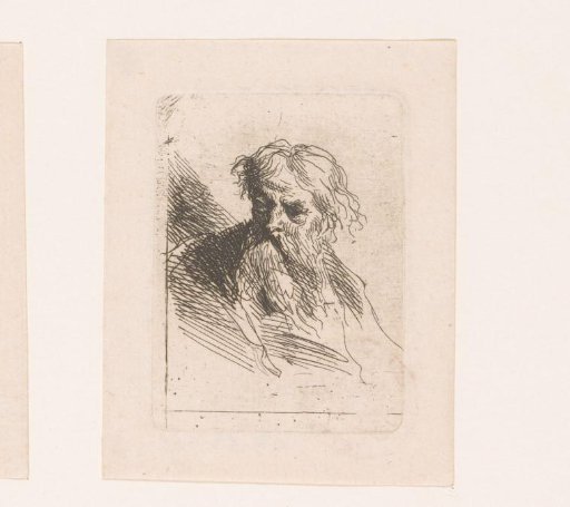 Head of a man with beard and long moustache