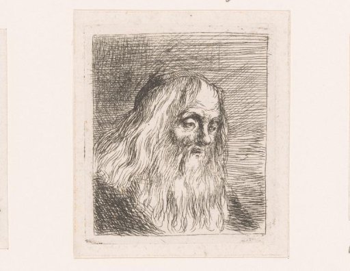 Head of an old man with long hair and beard