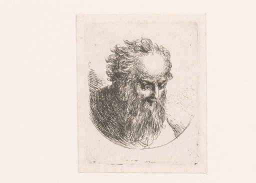 Head of a man with beard and bald forehead