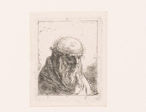 Head of an old bald man with beard