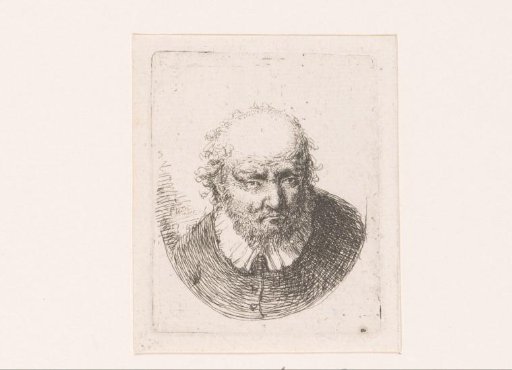 Head of a man with bald forehead and white collar