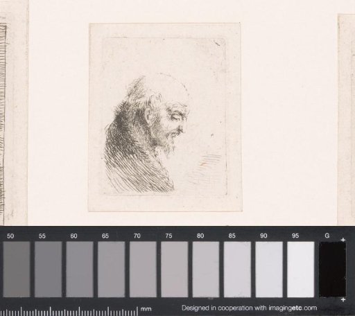 Head of a man with moustache and fur collar