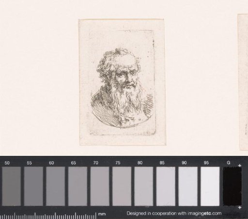 Head of an old man with beard