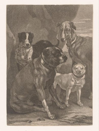 Four dogs