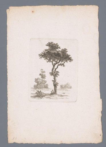 Tree in a flat landscape
