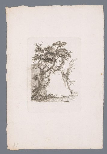 Tall rock block with a tree