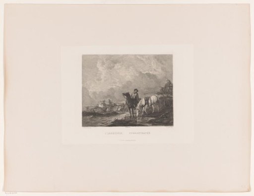 Horse Drinking at the Water's Edge