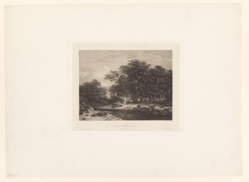 Forest Path