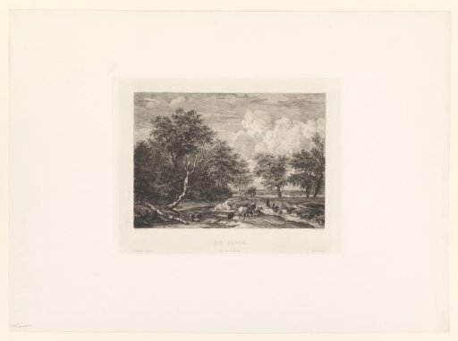 Landscape with Wading Cows
