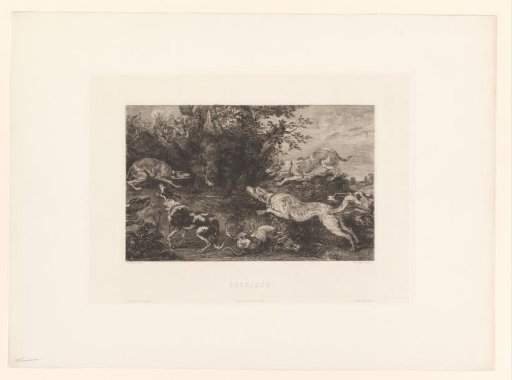 Boar Hunt