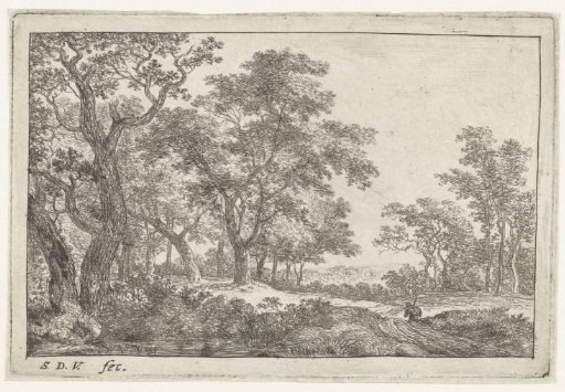 Path Through the Forest