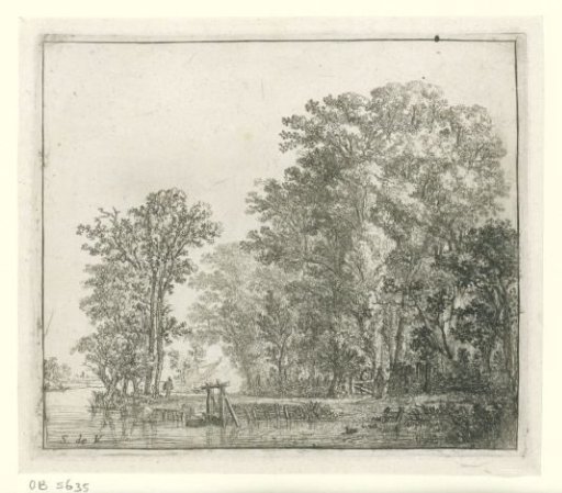 Forest Along a Canal