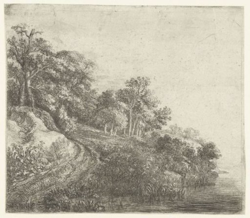 Wooded Hill