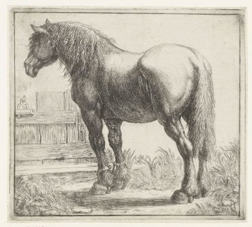 Workhorse at a Fence